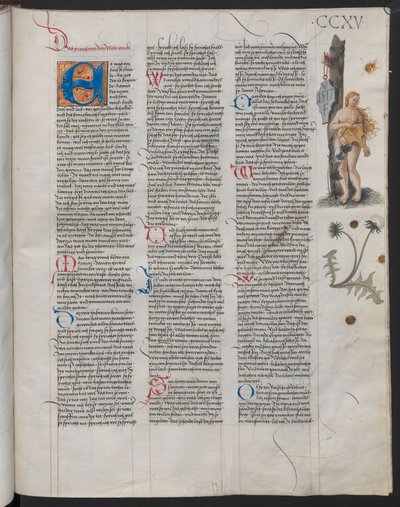 El Ambraser Heldenbuch, folio 215r. Las iniciales VF en el escudo se asumen como las del artista de Österreichische Nationalbibliothek,